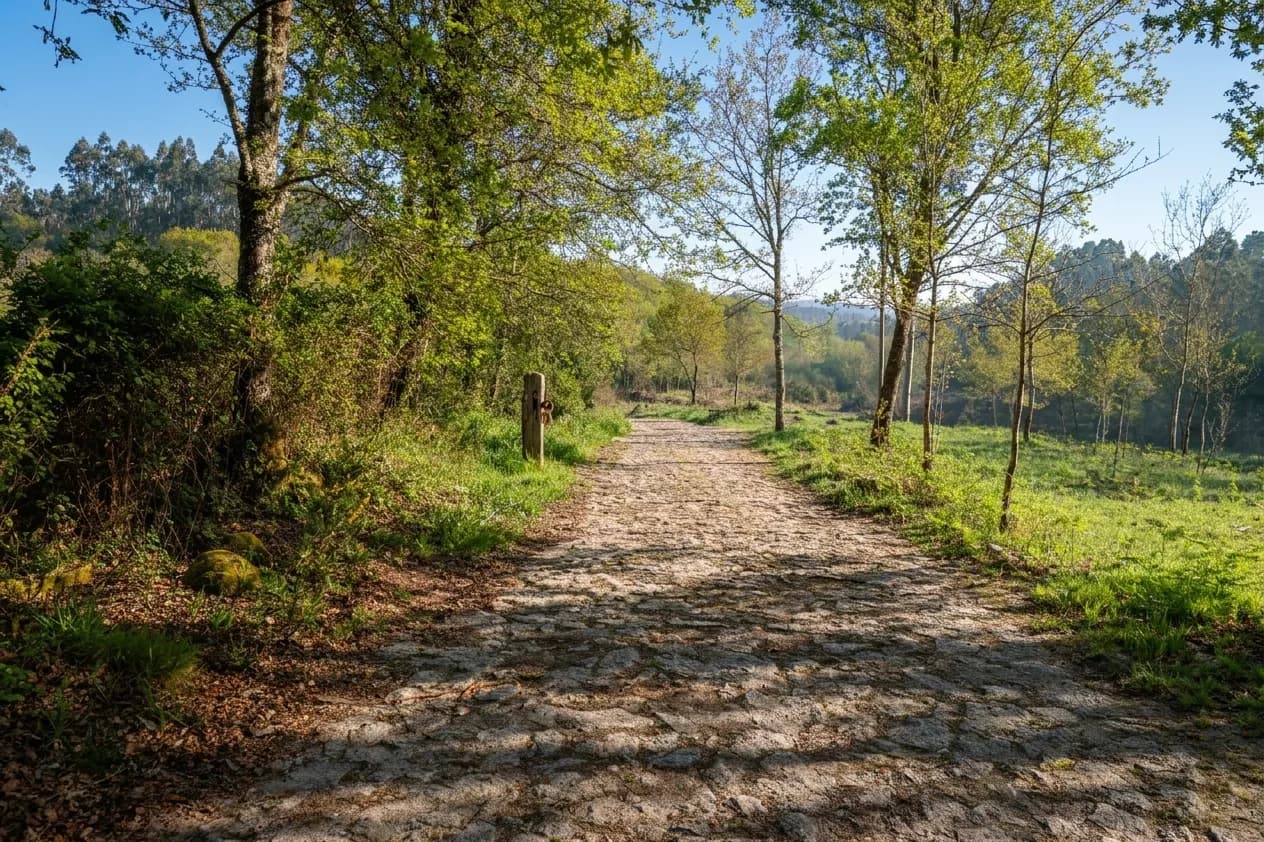 Paisagem ao longo do Caminho Português à passagem por Cossourado (20 de 20)